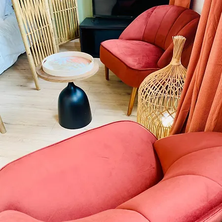 Appartement Ile Verte Entre Chu & Vieille Grenoble