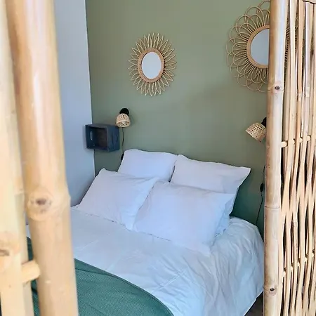 Appartement Ile Verte Entre Chu & Vieille Grenoble
