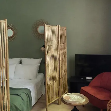 Appartement Ile Verte Entre Chu&vieille Grenoble