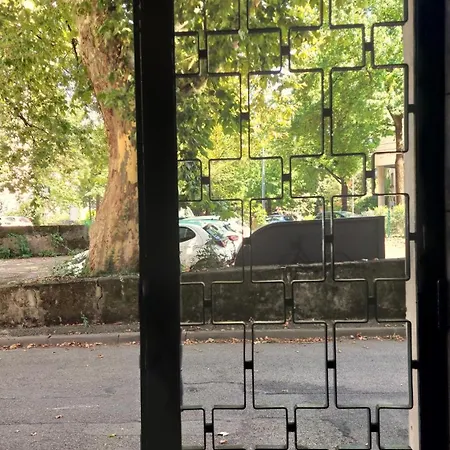 Ile Verte Entre Chu & Vieille *