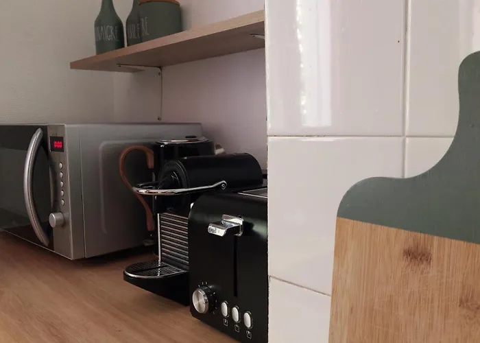 דירה Ile Verte Entre Chu & Vieille גרנובל